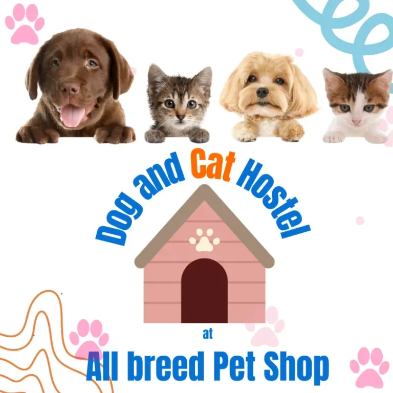 dog hostel in kathmandu