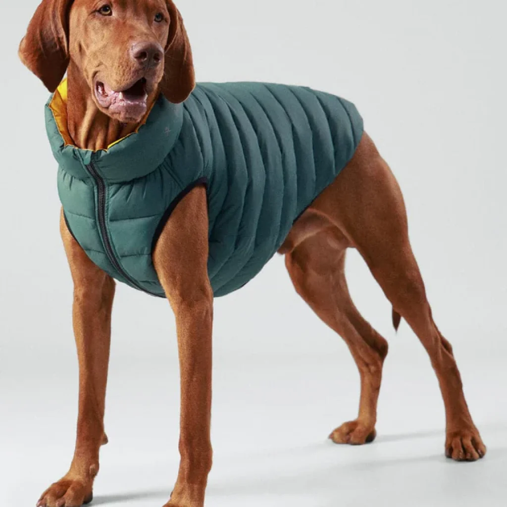 puffer jacket for large breeds